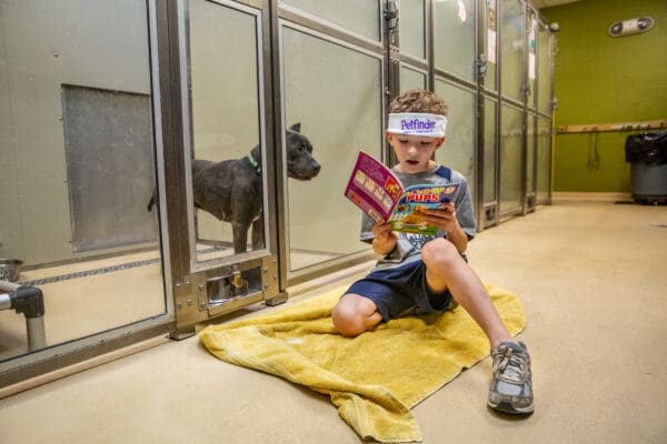 Evan Adrian, a first grader from Ste. Genevieve du Bois parish school, read to Winston at the  Saint Louis County Animal Care & Control in Olivette, Missouri  Thursday, Apr. 11, 2019. 

Photo by Lisa Johnston | lisajohnston@archstl.org | twitter: @aeternusphoto